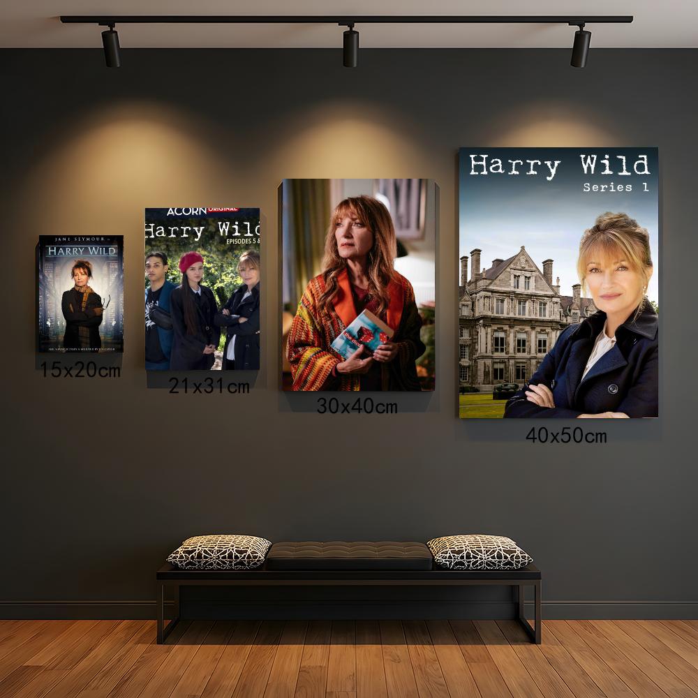 Interior Design Tv Room - Série de TV H-Harry Wild-D Pintura