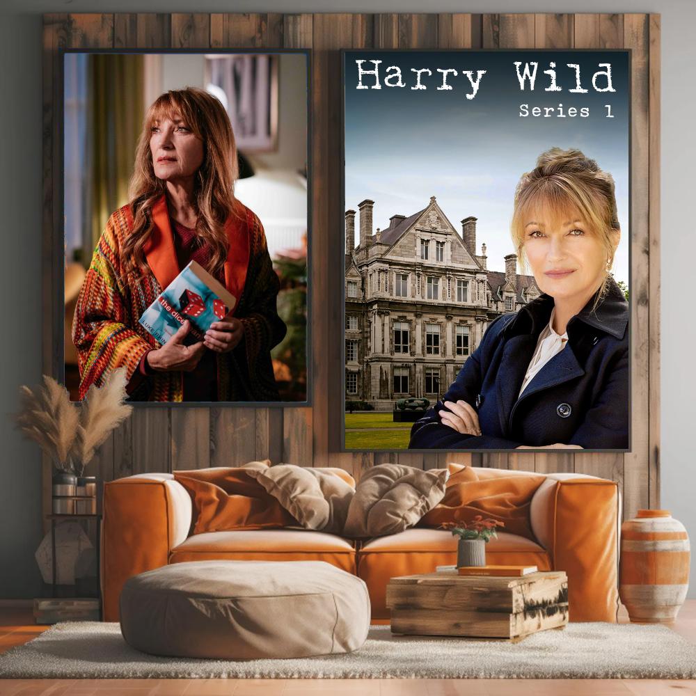 Série de TV H-Harry Wild-D Pin - Interior Design Tv Room avaliação e preço