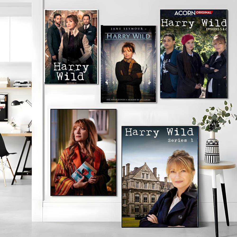 Série de TV H-Harry Wild-D Pin - Interior Design Tv Room avaliação e preço