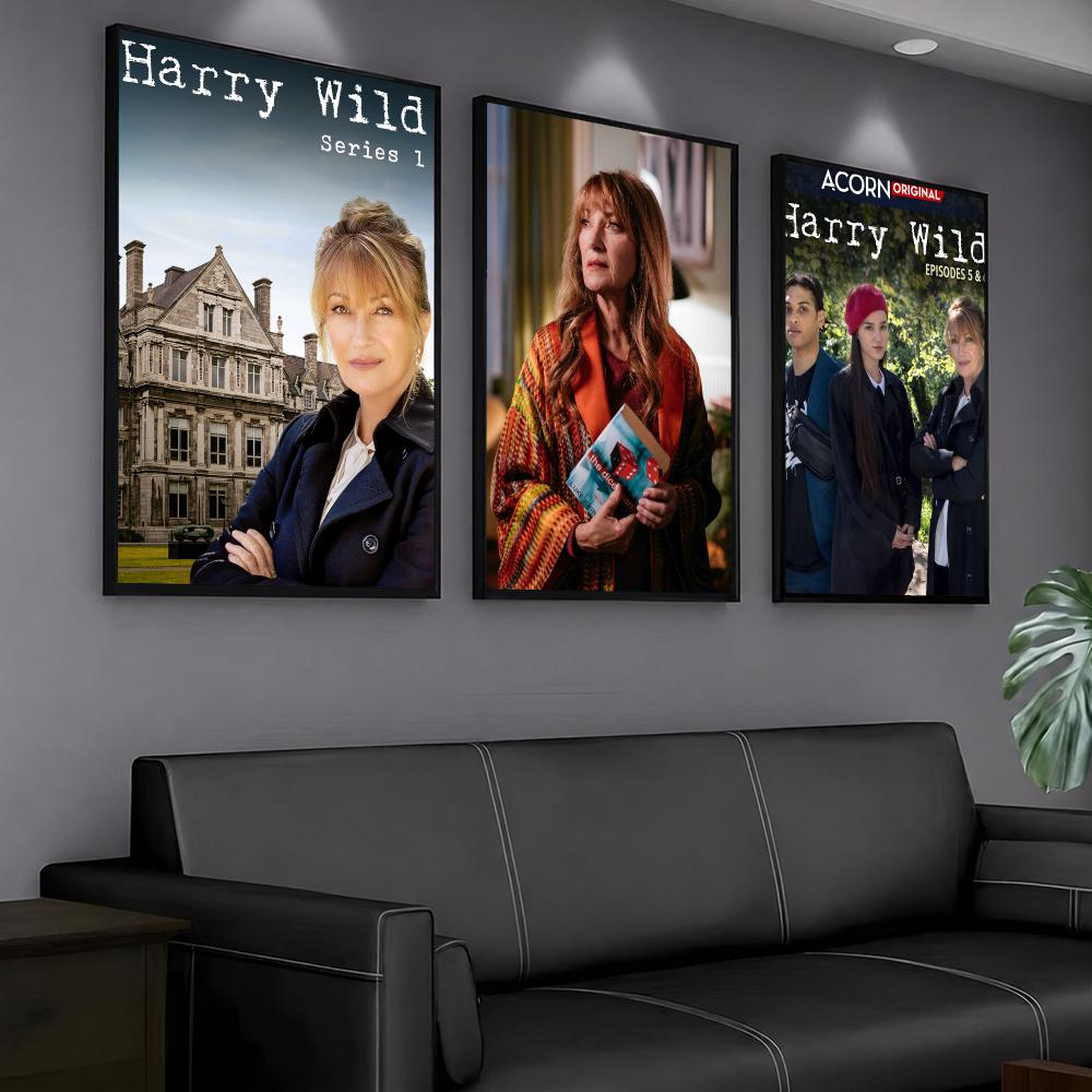 Série de TV H-Harry Wild-D Pin - Interior Design Tv Room avaliação e preço
