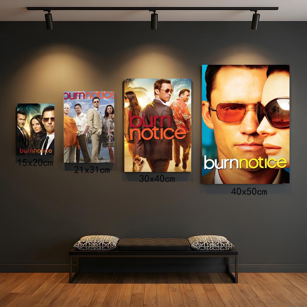 Série de TV B-Burn Notice-E Pi - Interior Design Tv Room avaliação e preço