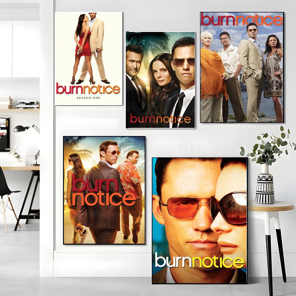 Série de TV B-Burn Notice-E Pi - Interior Design Tv Room avaliação e preço