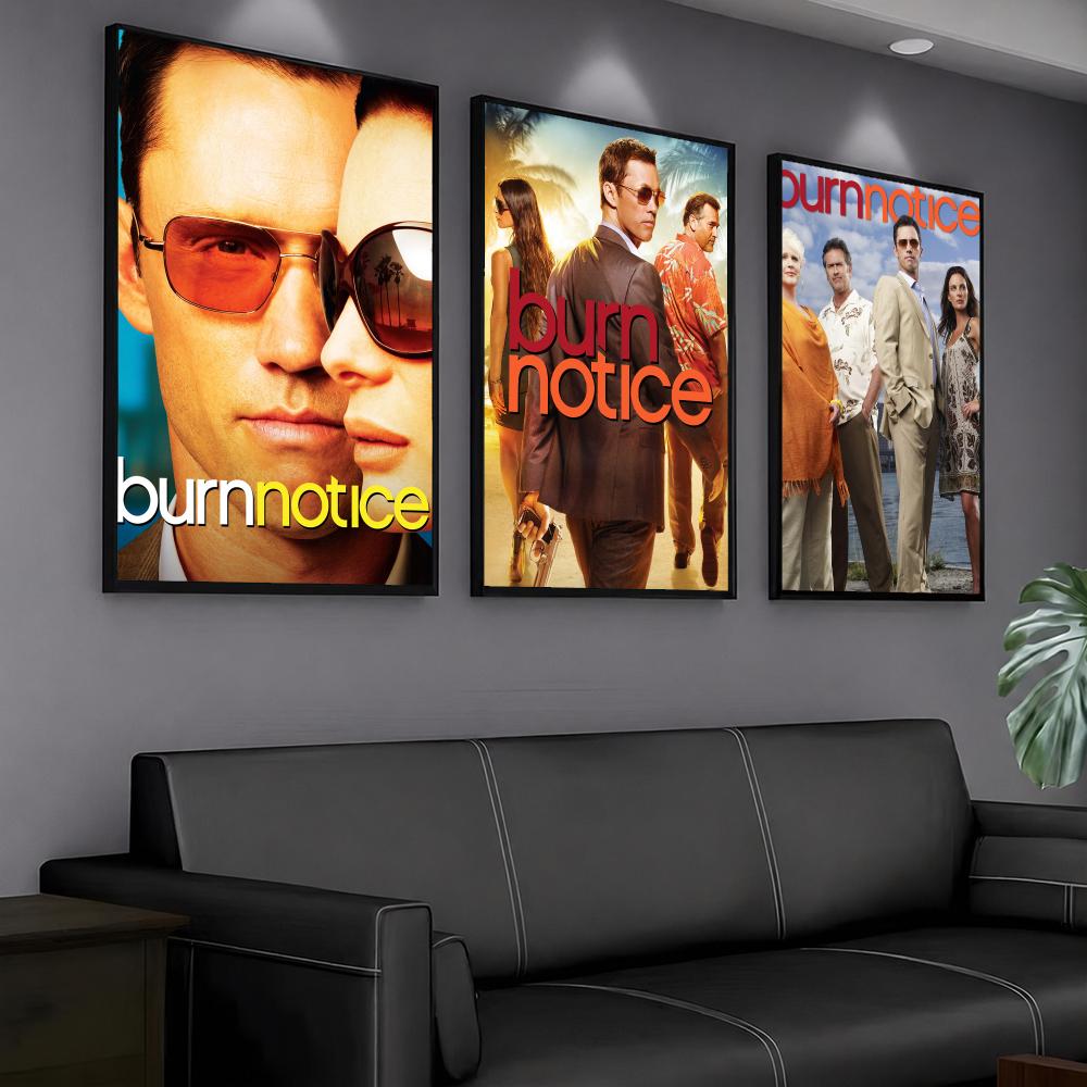 Série de TV B-Burn Notice-E Pi - Interior Design Tv Room avaliação e preço