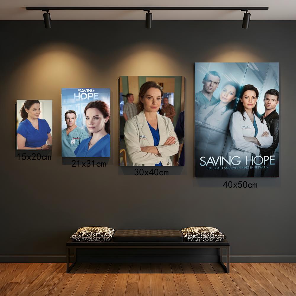 Série de TV S-Saving Hope-E Pi - Interior Design Tv Room avaliação e preço