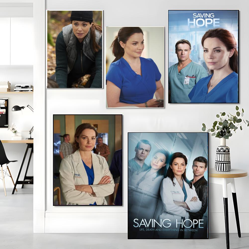 Série de TV S-Saving Hope-E Pi - Interior Design Tv Room avaliação e preço
