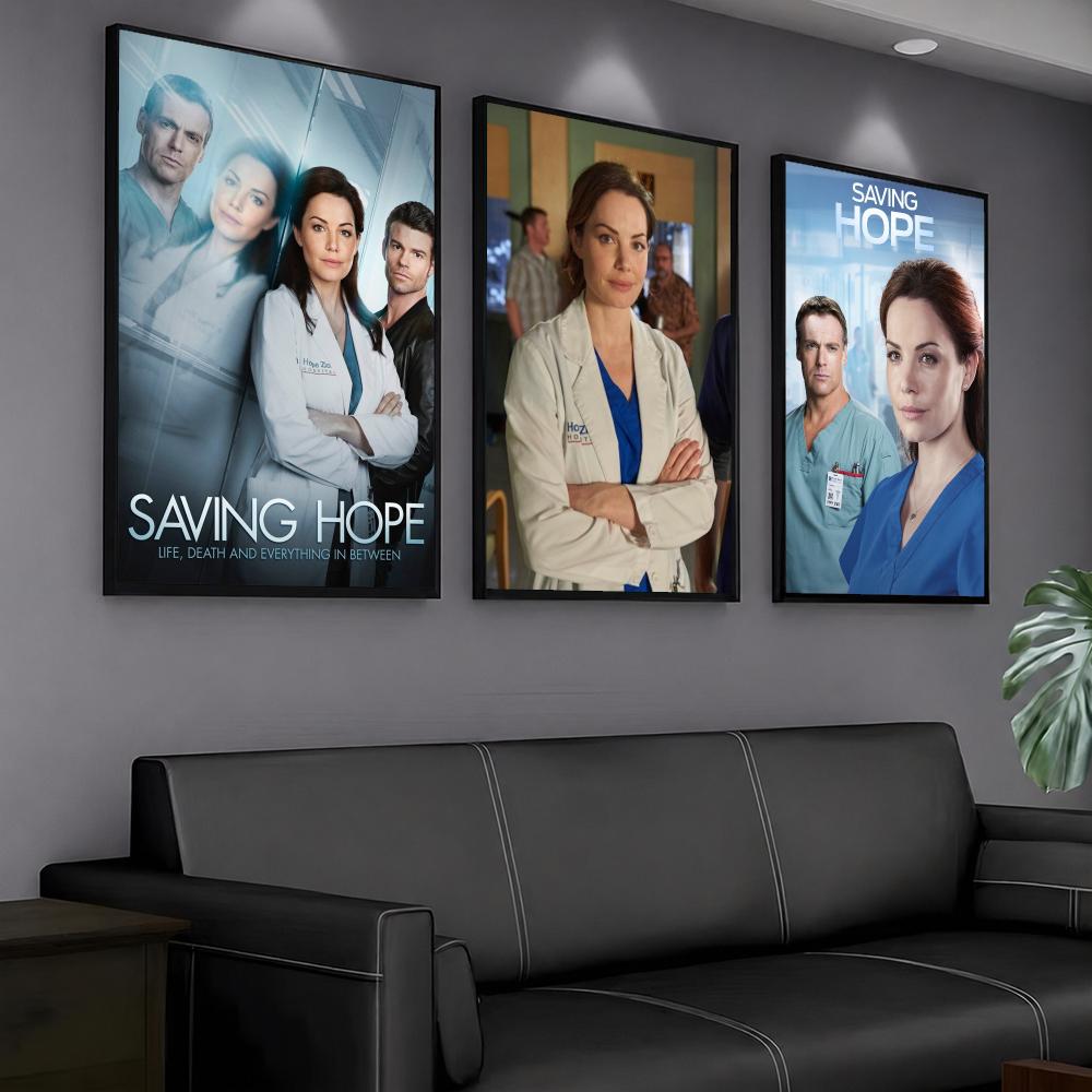 Série de TV S-Saving Hope-E Pi - Interior Design Tv Room avaliação e preço